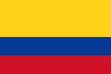 Forretningsoversættelser til eller fra colombiansk spansk