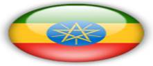Det amhariske språket